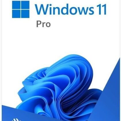 Microsoft Windows 11 Professional 32/64 BiT