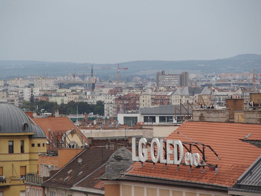 LG OLED C5 – najlepsze promocje i porównanie cen 2026