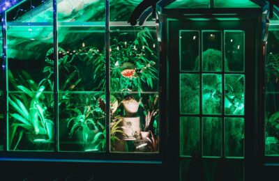 A brightly lit greenhouse showcasing exotic plants and a mysterious atmosphere at night.