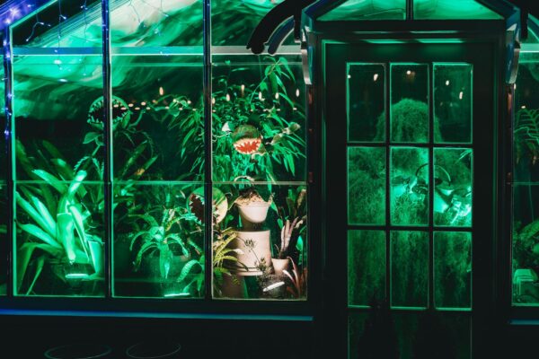 A brightly lit greenhouse showcasing exotic plants and a mysterious atmosphere at night.
