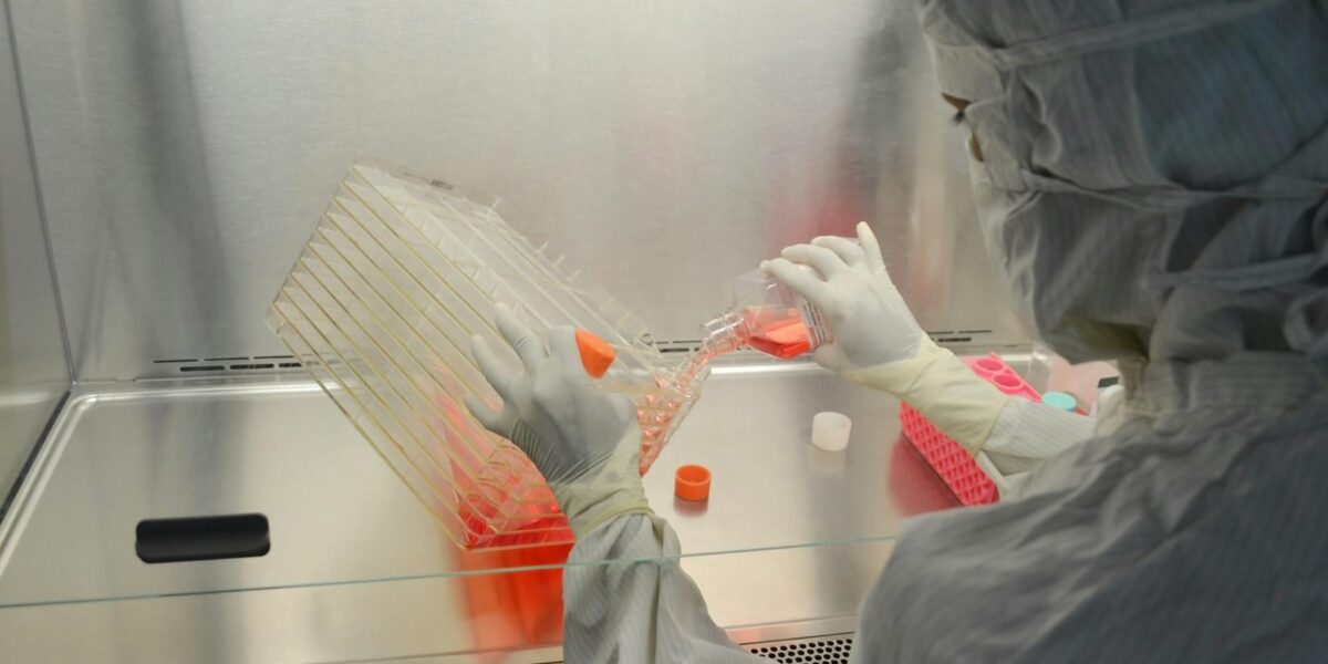 A scientist in full protective gear working in a laboratory on research with cell cultures.