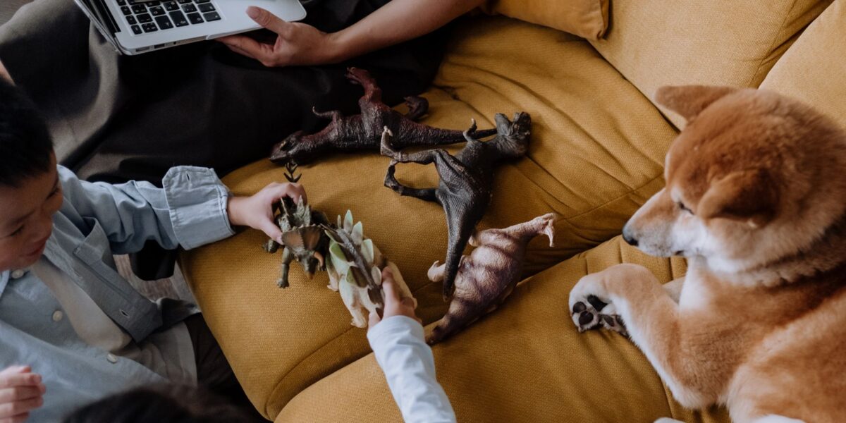 Children playing with dinosaur toys on a sofa while a dog observes. Overhead shot with fun vibe.