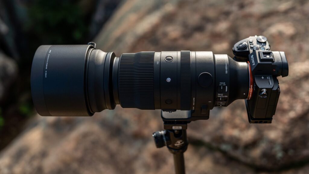 Sony 200-600 vs Sigma 150-600 vs Tamron 150-500: który superteleobiektyw kupić